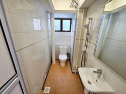 Dunearn Road (D11), Condominium #482575991